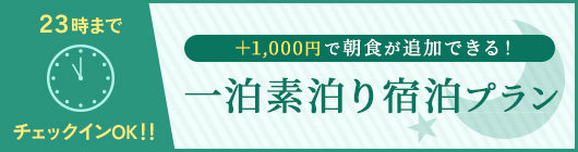 一泊素泊まり宿泊プラン